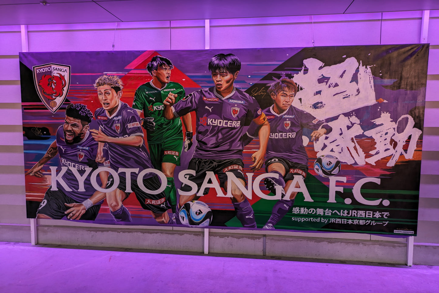 Private Kyoto Sanga FC Football Match Tour with Your Own Local Guide